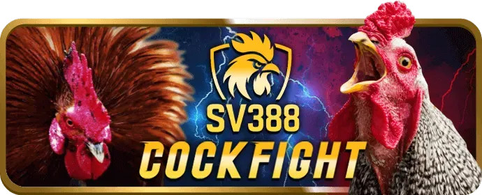 Bước 3: Điền thông tin đăng ký