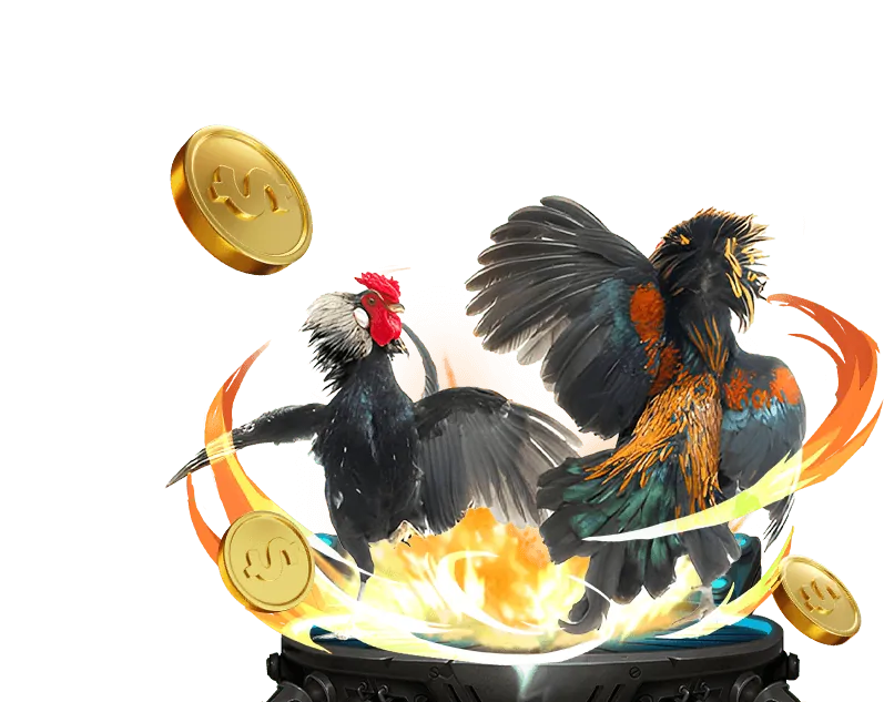 Các chương trình khuyến mãi TK88